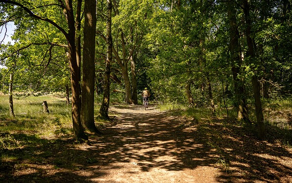 Faule Wiesen Schönow, Foto: Michél Schmidt, Lizenz: BeSt Bernauer Stadtmarketing GmbH