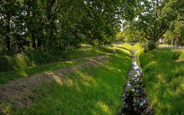 Faule Wiesen Schönow, Foto: Michél Schmidt, Lizenz: BeSt Bernauer Stadtmarketing GmbH
