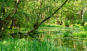 Die Briese, Foto: Frank Liebke, Lizenz: Touristeninformation Birkenwerder