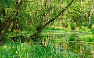 Die Briese, Foto: Frank Liebke, Lizenz: Touristeninformation Birkenwerder