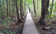 Der Boddensteig, Foto: R. Riebschläger, Lizenz: Touristeninformation Birkenwerder