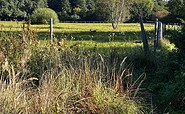 Intakte Natur, Foto: Jörg Bartz, Lizenz: TV Brandenburgische Seenplatte