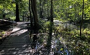 Der Briesesteig, Foto: Jörg Bartz, Lizenz: TV Brandenburgische Seenplatte