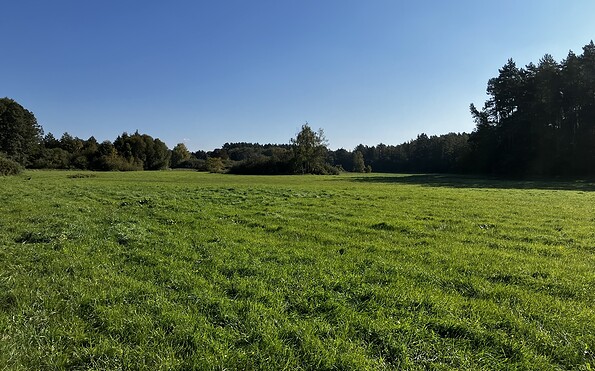 Havel meadows near Birkenwerder, Foto: Jörg Bartz, Lizenz: TV Brandenburgische Seenplatte