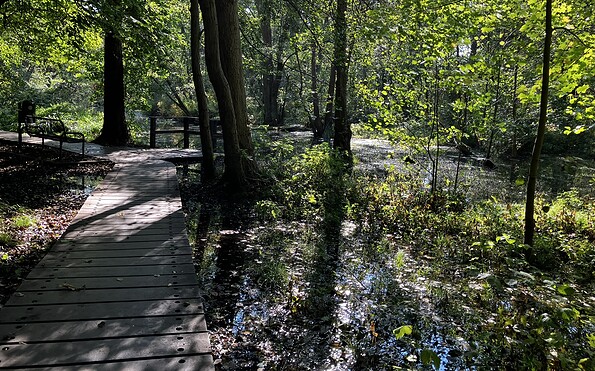 The Briesesteig trail, Foto: Jörg Bartz, Lizenz: TV Brandenburgische Seenplatte