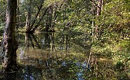 nature, Foto: Jörg Bartz, Lizenz: TV Brandenburgische Seenplatte