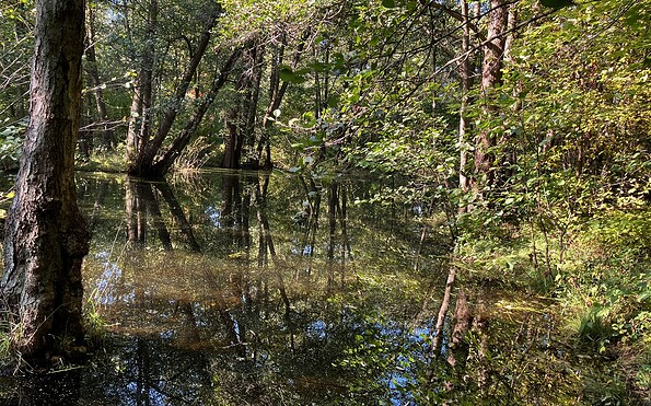 nature, Foto: Jörg Bartz, Lizenz: TV Brandenburgische Seenplatte
