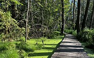Continue along the Briesesteig trail, Foto: Jörg Bartz, Lizenz: TV Brandenburgische Seenplatte