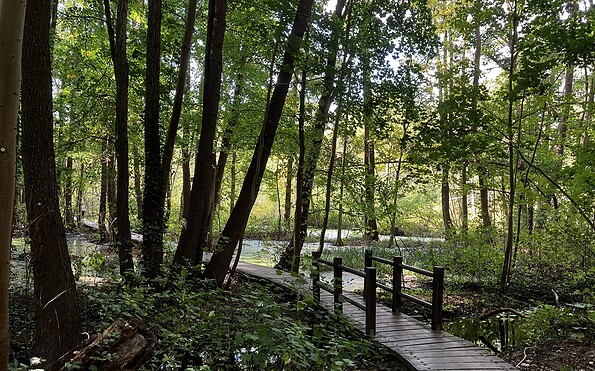Im Briesetal, Foto: Jörg Bartz, Lizenz: TV Brandenburgische Seenplatte