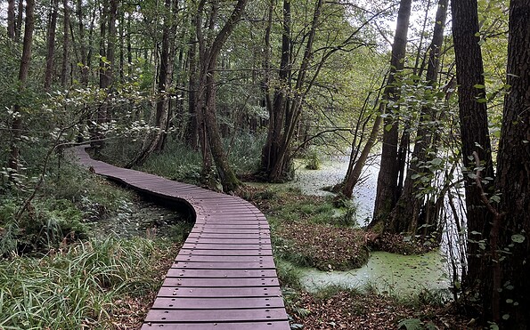Durch das Briesetal, Foto: Jörg Bartz, Lizenz: TV Brandenburgische Seenplatte