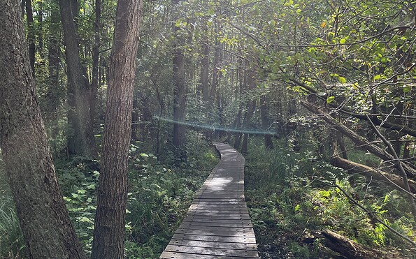 Natur im mystischem Licht, Foto: Jörg Bartz, Lizenz: TV Brandenburgische Seenplatte
