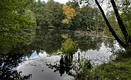 Natur sich selbst überlassen, Foto: Jörg Bartz, Lizenz: TV Brandenburgische Seenplatte