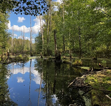 5. Etappe "66-Seen-Wanderweg": Birkenwerder - Wensickendorf