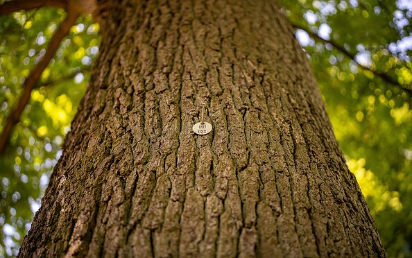 Foto: Michél Schmidt, Lizenz: BeSt Bernauer Stadtmarketing GmbH