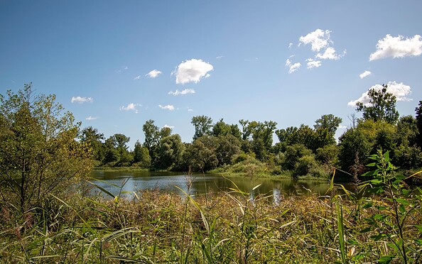 Panke-Park Bernau, Foto: Michél Schmidt, Lizenz: BeSt Bernauer Stadtmarketing GmbH