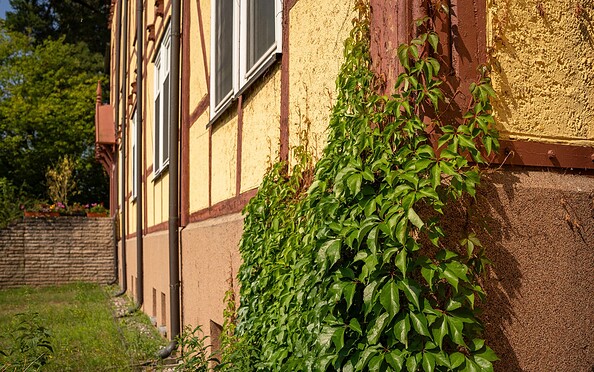 Saal Alt Lobetal, Foto: Michél Schmidt, Lizenz: BeSt Bernauer Stadtmarketing GmbH