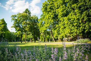 Stadtpark Bernau, Foto: Stefan Klenke, Lizenz: BeSt Bernauer Stadtmarketing GmbH