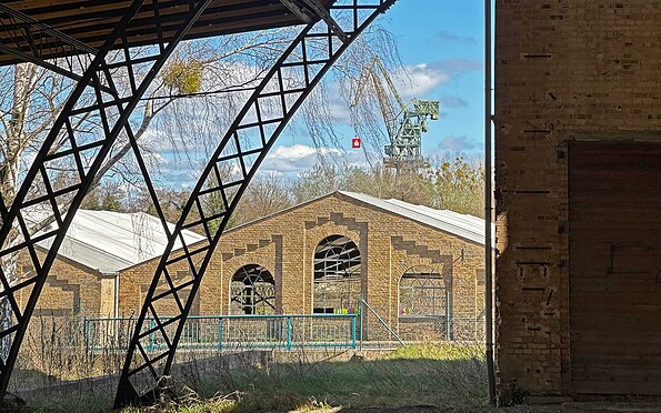 Blick von der Borsighalle zum Familiengarten, Foto: Anke Bielig, Lizenz: Gemeinde Schorfheide
