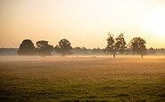 Nebel über den Luchwiesen, Foto: Steven Ritzer, Lizenz: Tourismusverband Havelland e.V.