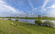 Elbe bei Rühstädt, Foto: Steffen Lehmann, Lizenz: TMB Tourismus-Marketing Brandenburg GmbH