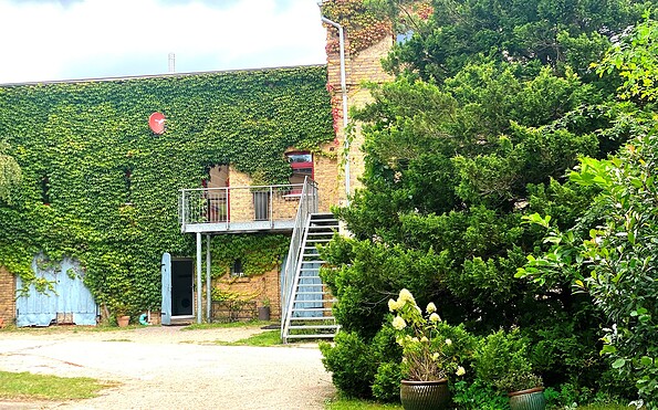 View of Carriage House, Foto: Carolin Janda