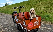 Hund im Lastenrad auf dem Elbdeich, Foto: Wenger-Schott, Lizenz: Tourismusverband Prignitz