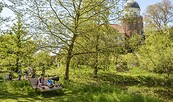 Ruhe und Idylle im Burgpark Lenzen, Foto: Dieter Damschen, Lizenz: Tourismusverband Prignitz e.V.
