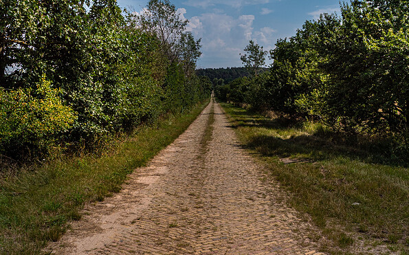 Rundwanderweg Beetzseeheide, Foto: B. Weise, Lizenz: B. Weise