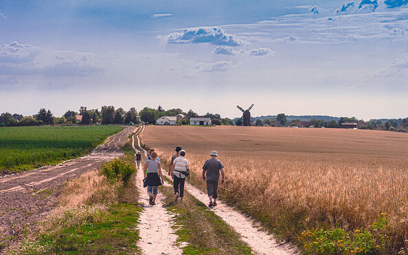 Rundwanderweg Beetzseeheide, Foto: B. Weise, Lizenz: B. Weise