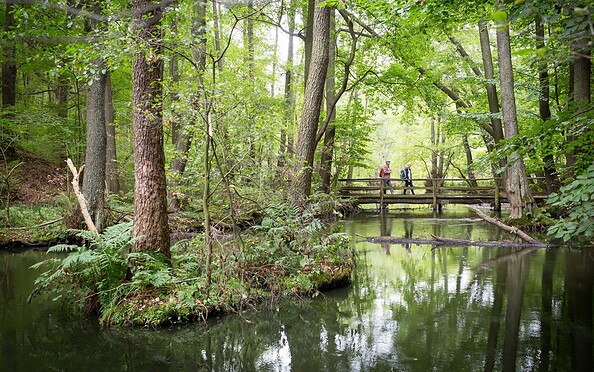 Hiking in the Schlaube valley , Foto: Florian Läufer, Lizenz: Seenland Oder-Spree