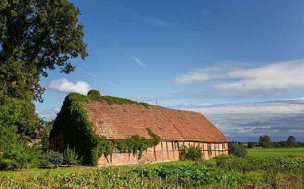 Oldest colonial village in Neulitzegöricke, Foto: Florian Läufer, Lizenz: Seenland Oder-Spree