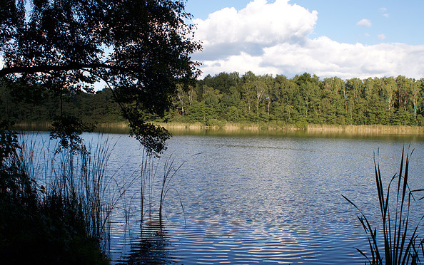 Heidereuter See in Erkner, Foto: Alexandra Pohnke