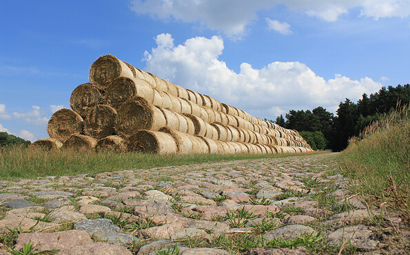 Kopfsteinpflasterstraßen sind typisch im Naturpark, Foto: Bansen-Wittig