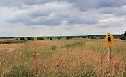 Blick in die Belziger Landschaftswiesen, Foto: Bansen-Wittig