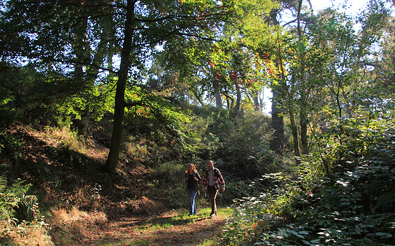 In einem Seitenarm der Brautrummel, Foto: Bansen-Wittig