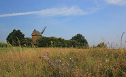 Bockwindmühle Borne, Foto: Bansen-Wittig