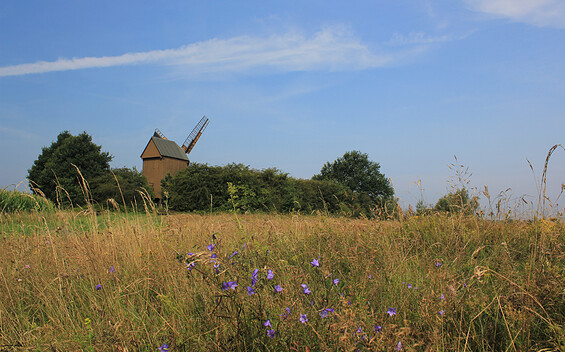 Bockwindmühle Borne, Foto: Bansen-Wittig