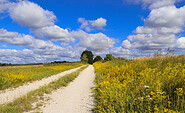 Abwechslungsreiche Landschaft gibt es am Naturpark-Rundwanderweg 40, Foto: Bansen-Wittig