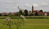 Blick auf Niemegk, Foto: Bansen-Wittig