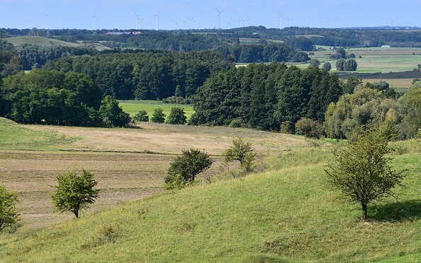 Oderhänge Mallnow, Foto: Holger Hoffmann, Lizenz: Seenland Oder-Spree