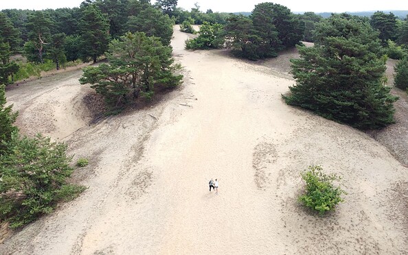 Binnendüne Storkow, Foto: Marie Kessler, Lizenz: Seenland Oder-Spree