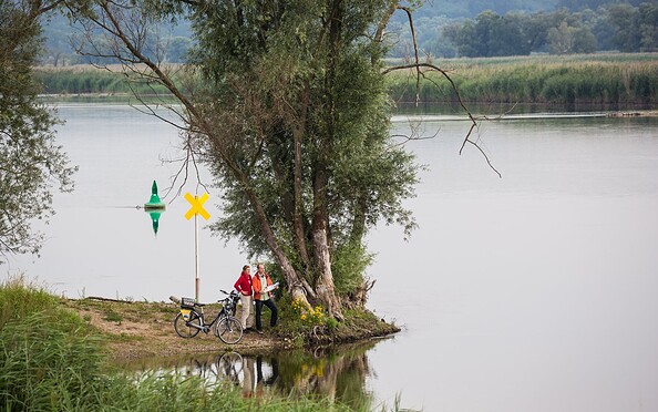 River Oder at Zollbrücke, Foto: Yorck Maecke, Lizenz: TMB-Fotoarchiv