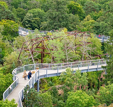 Baum&Zeit Baumkronenpfad, Foto: Annabell Bartels, Lizenz: Tourismusverband Fläming e.V.