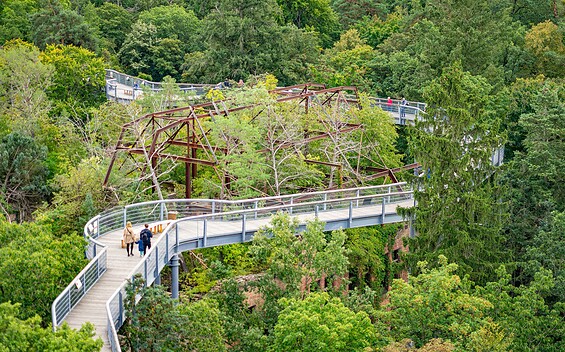 Baum&Zeit Baumkronenpfad, Foto: Annabell Bartels, Lizenz: Tourismusverband Fläming e.V.