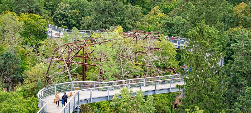 Baum&Zeit Baumkronenpfad, Foto: Annabell Bartels, Lizenz: Tourismusverband Fläming e.V.