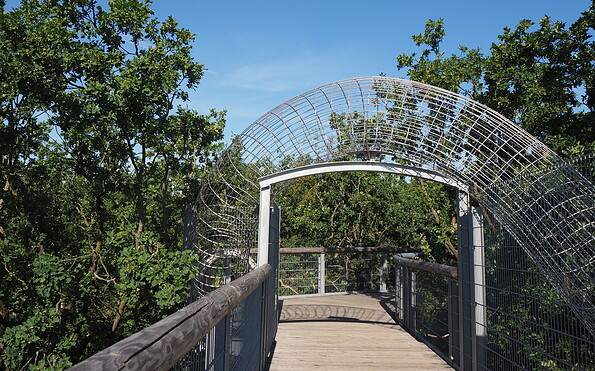 Element Kobra, Foto: Anne Borkmann, Lizenz: Tourismusverband Fläming e.V.