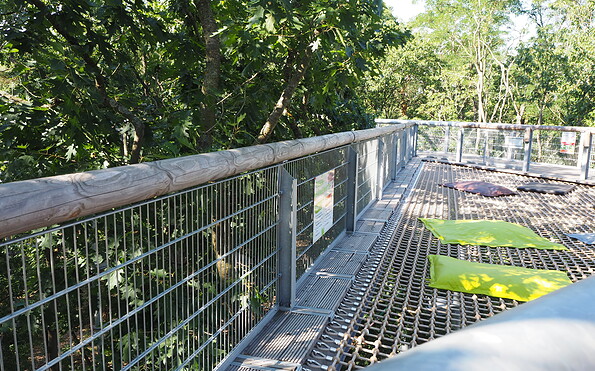 Hängematte, Foto: Anne Borkmann, Lizenz: Tourismusverband Fläming e.V.