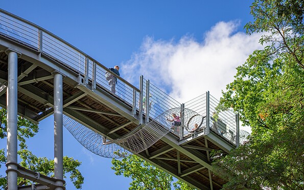 Von unten, Foto: Annabell Bartels, Lizenz: Tourismusverband Fläming e.V.