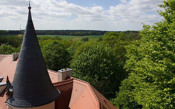 Blick vom Schlossturm Wiesenburg, Foto: Bansen-Wittig