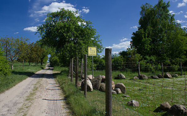 Bei Arensnest, Foto: Bansen-Wittig